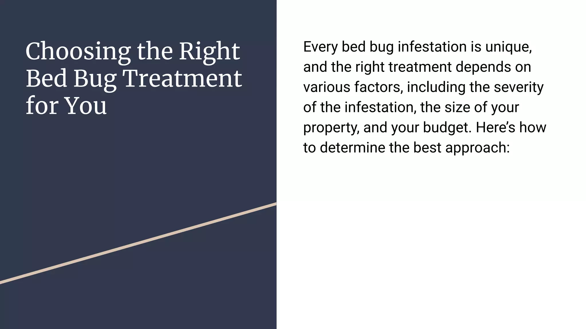 How to Get Rid of Bed Bugs - Pests In The Home