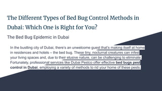 The Different Types of Bed Bug Control Methods in
Dubai: Which One is Right for You?
The Bed Bug Epidemic in Dubai
In the bustling city of Dubai, there’s an unwelcome guest that’s making itself at home
in residences and hotels – the bed bug. These tiny, nocturnal creatures can infest
your living spaces and, due to their elusive nature, can be challenging to eliminate.
Fortunately, professional services like Dubai Pestco offer effective bed bugs pest
control in Dubai, employing a variety of methods to rid your home of these pests.
 