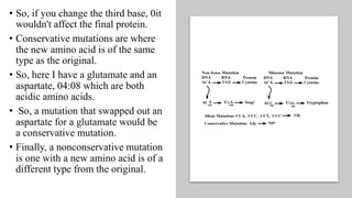 3rd Sab Mutations The different types of mutations | PDF