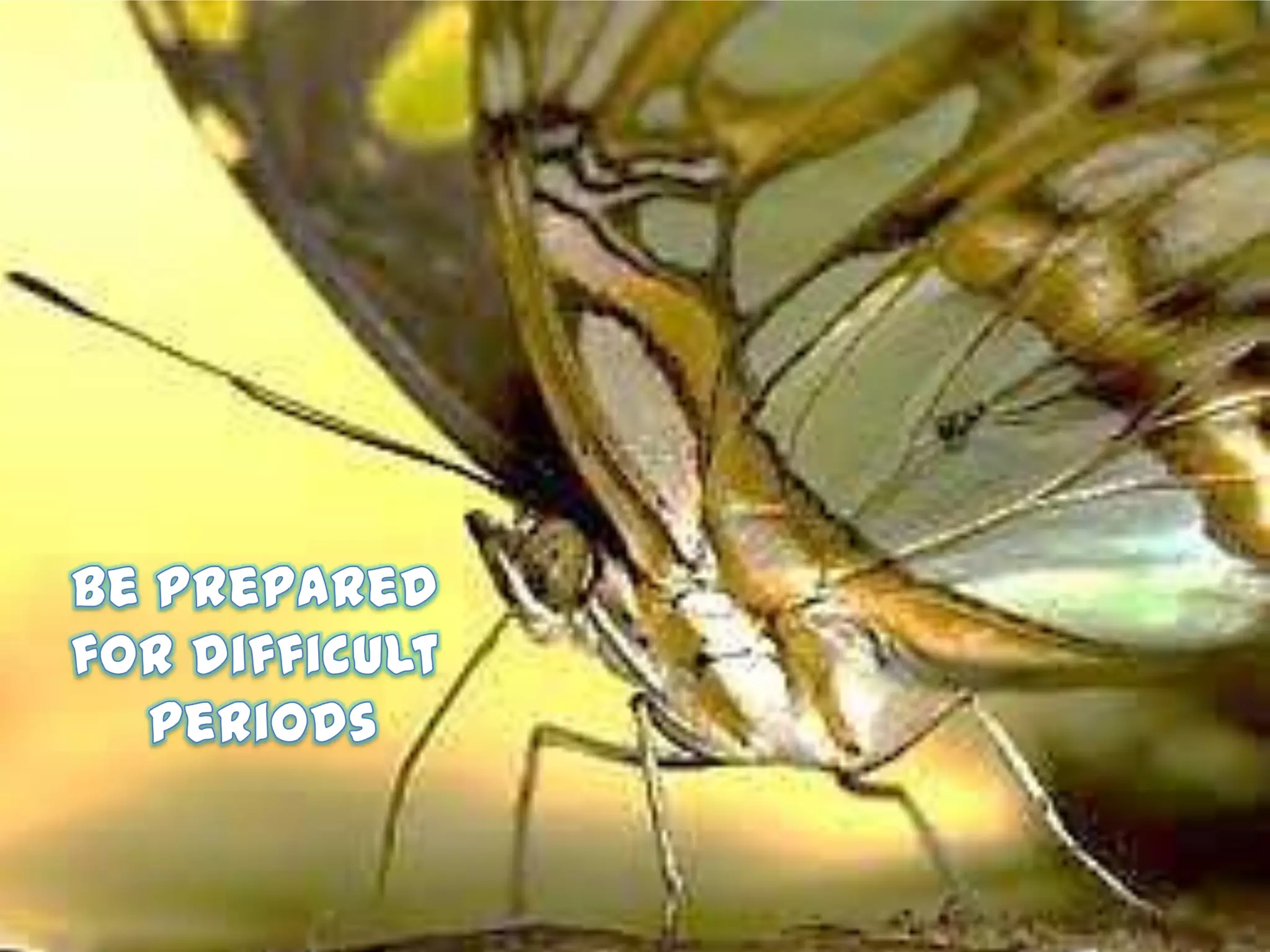 Be prepared for difficult periods