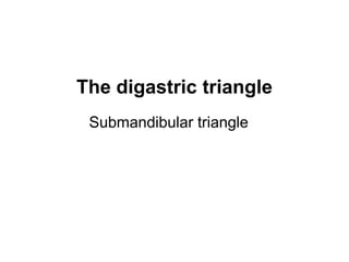 The digastric triangle
Submandibular triangle
 