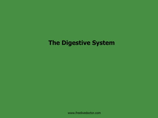 The Digestive System www.freelivedoctor.com 
