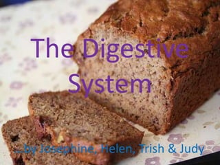 The Digestive System ...by Josephine, Helen, Trish & Judy   
