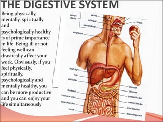THE DIGESTIVE SYSTEM ,[object Object]
