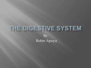 THE DIGESTIVE SYSTEM By Robin Apuya 