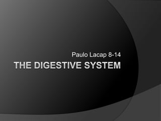 The Digestive System Paulo Lacap 8-14  