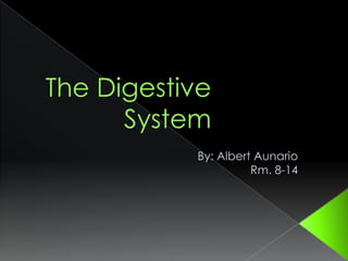 The Digestive System By: Albert Aunario Rm. 8-14 