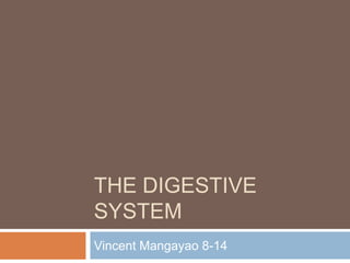 The Digestive System Vincent Mangayao 8-14 