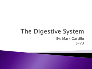The Digestive System By: Mark Castillo 8-73 