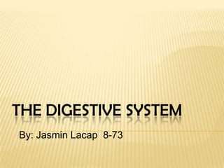 The Digestive System By: Jasmin Lacap  8-73 