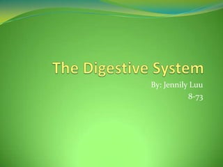 The Digestive System By: Jennily Luu 8-73  