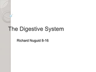The Digestive System Richard Nuguid 8-16 