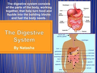 The digestive system consists of the parts of the body, working together, that help turn food and liquids into the building blocks and fuel the body needs. The Digestive System By Natasha 