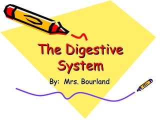 The Digestive System By:  Mrs. Bourland 