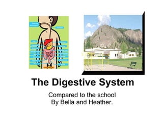 The Digestive System Compared to the school By Bella and Heather. 
