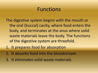 Functions
The digestive system begins with the mouth or
  the oral (buccal) cavity, where food enters the
  body, and terminates at the anus where solid
  waste materials leave the body. The functions
  of the digestive system are threefold.
1. It prepares food for absorption
2. It absorbs food into the bloodstream
3. It eliminates solid waste materials
 