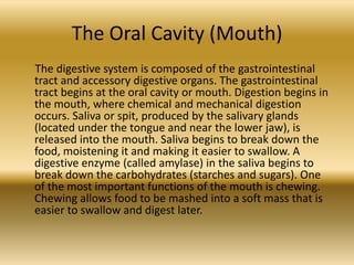The Oral Cavity (Mouth)
The digestive system is composed of the gastrointestinal
tract and accessory digestive organs. The gastrointestinal
tract begins at the oral cavity or mouth. Digestion begins in
the mouth, where chemical and mechanical digestion
occurs. Saliva or spit, produced by the salivary glands
(located under the tongue and near the lower jaw), is
released into the mouth. Saliva begins to break down the
food, moistening it and making it easier to swallow. A
digestive enzyme (called amylase) in the saliva begins to
break down the carbohydrates (starches and sugars). One
of the most important functions of the mouth is chewing.
Chewing allows food to be mashed into a soft mass that is
easier to swallow and digest later.
 