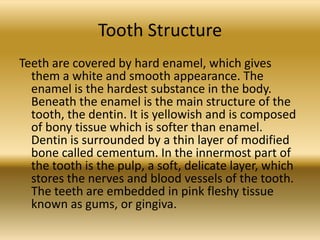 Tooth Structure
Teeth are covered by hard enamel, which gives
  them a white and smooth appearance. The
  enamel is the hardest substance in the body.
  Beneath the enamel is the main structure of the
  tooth, the dentin. It is yellowish and is composed
  of bony tissue which is softer than enamel.
  Dentin is surrounded by a thin layer of modified
  bone called cementum. In the innermost part of
  the tooth is the pulp, a soft, delicate layer, which
  stores the nerves and blood vessels of the tooth.
  The teeth are embedded in pink fleshy tissue
  known as gums, or gingiva.
 