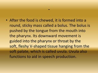 -
• After the food is chewed, it is formed into a
  round, sticky mass called a bolus. The bolus is
  pushed by the tongue from the mouth into
  the pharynx. Its downward movement is
  guided into the pharynx or throat by the
  soft, fleshy V-shaped tissue hanging from the
  soft palate, which is called uvula. Uvula also
  functions to aid in speech production.
 