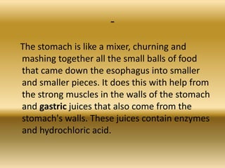 -
The stomach is like a mixer, churning and
mashing together all the small balls of food
that came down the esophagus into smaller
and smaller pieces. It does this with help from
the strong muscles in the walls of the stomach
and gastric juices that also come from the
stomach's walls. These juices contain enzymes
and hydrochloric acid.
 