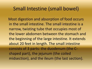 Small Intestine (small bowel)
Most digestion and absorption of food occurs
in the small intestine. The small intestine is a
narrow, twisting tube that occupies most of
the lower abdomen between the stomach and
the beginning of the large intestine. It extends
about 20 feet in length. The small intestine
consists of 3 parts: the duodenum (the C-
shaped part), the jejunum (the coiled
midsection), and the ileum (the last section).
 