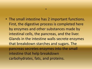-
• The small intestine has 2 important functions.
  First, the digestive process is completed here
  by enzymes and other substances made by
  intestinal cells, the pancreas, and the liver.
  Glands in the intestine walls secrete enzymes
  that breakdown starches and sugars. The
  pancreas secretes enzymes into the small
  intestine that help breakdown
  carbohydrates, fats, and proteins.
 