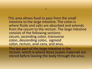 -
This area allows food to pass from the small
intestine to the large intestine. The colon is
where fluids and salts are absorbed and extends
from the cecum to the rectum. The large intestine
consists of the following sections:
cecum, ascending colon, transverse
colon, descending colon, sigmoid
colon, rectum, anal cana, and anus.
The last part of the large intestine is the
rectum, which is where feces (waste material) are
stored before leaving the body through the anus.
 