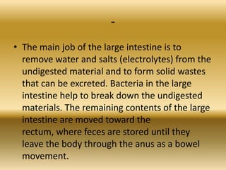 -
• The main job of the large intestine is to
  remove water and salts (electrolytes) from the
  undigested material and to form solid wastes
  that can be excreted. Bacteria in the large
  intestine help to break down the undigested
  materials. The remaining contents of the large
  intestine are moved toward the
  rectum, where feces are stored until they
  leave the body through the anus as a bowel
  movement.
 