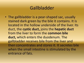 Gallbladder
• The gallbladder is a pear-shaped sac, usually
  stained dark green by the bile it contains. It is
  located in the hollow underside of the liver. Its
  duct, the cystic duct, joins the hepatic duct
  from the liver to form the common bile
  duct, which enters the duodenum. The
  gallbladder receives bile from the liver and
  then concentrates and stores it. It secretes bile
  when the small intestine is stimulated by the
  entrance of fats.
 