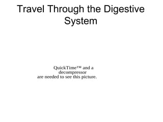 Travel Through the Digestive
          System



            QuickTime™ and a
              decompressor
    are needed to see this picture.
 