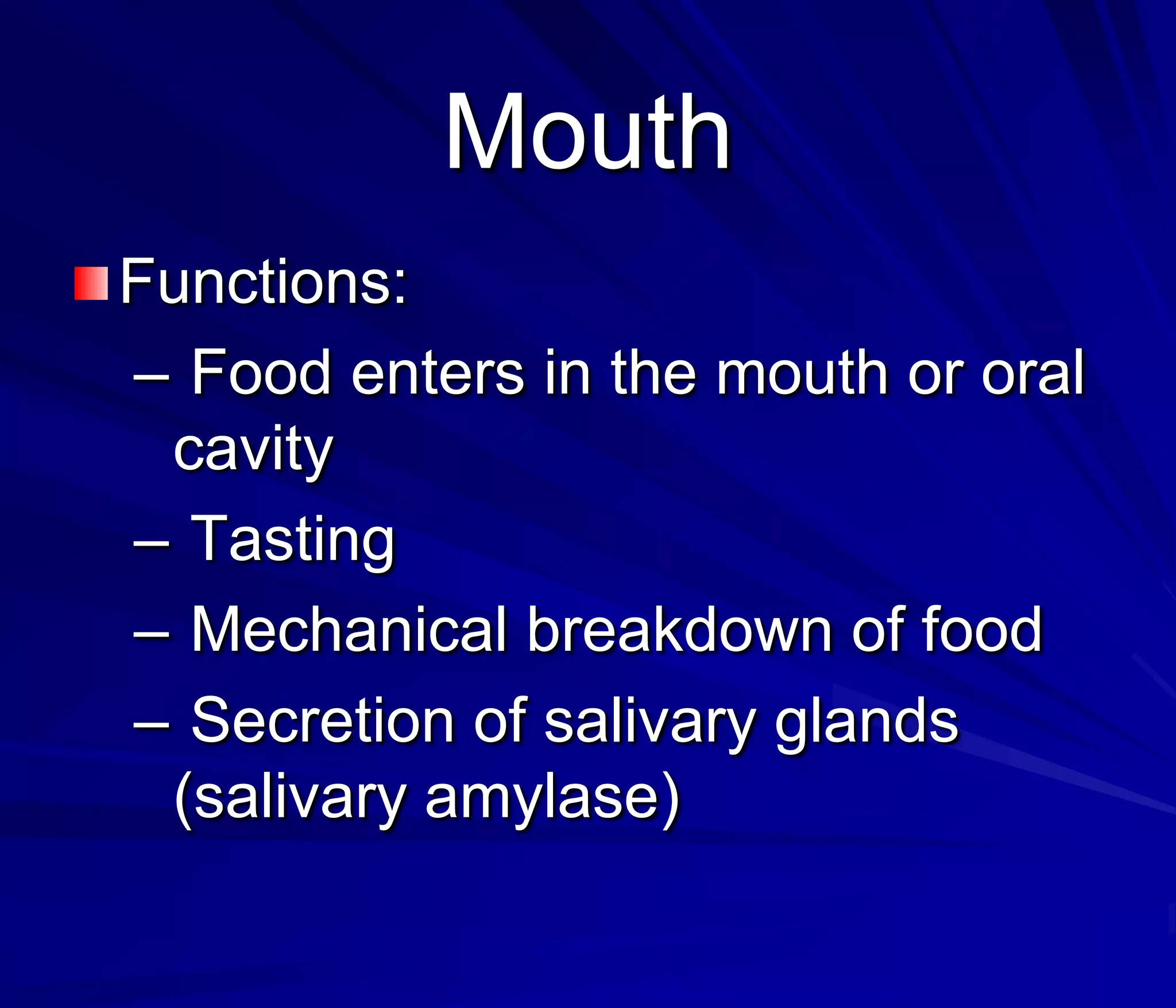 Mouth
Functions:
– Food enters in the mouth or oral
 cavity
– Tasting
– Mechanical breakdown of food
– Secretion of salivary glands
 (salivary amylase)
 