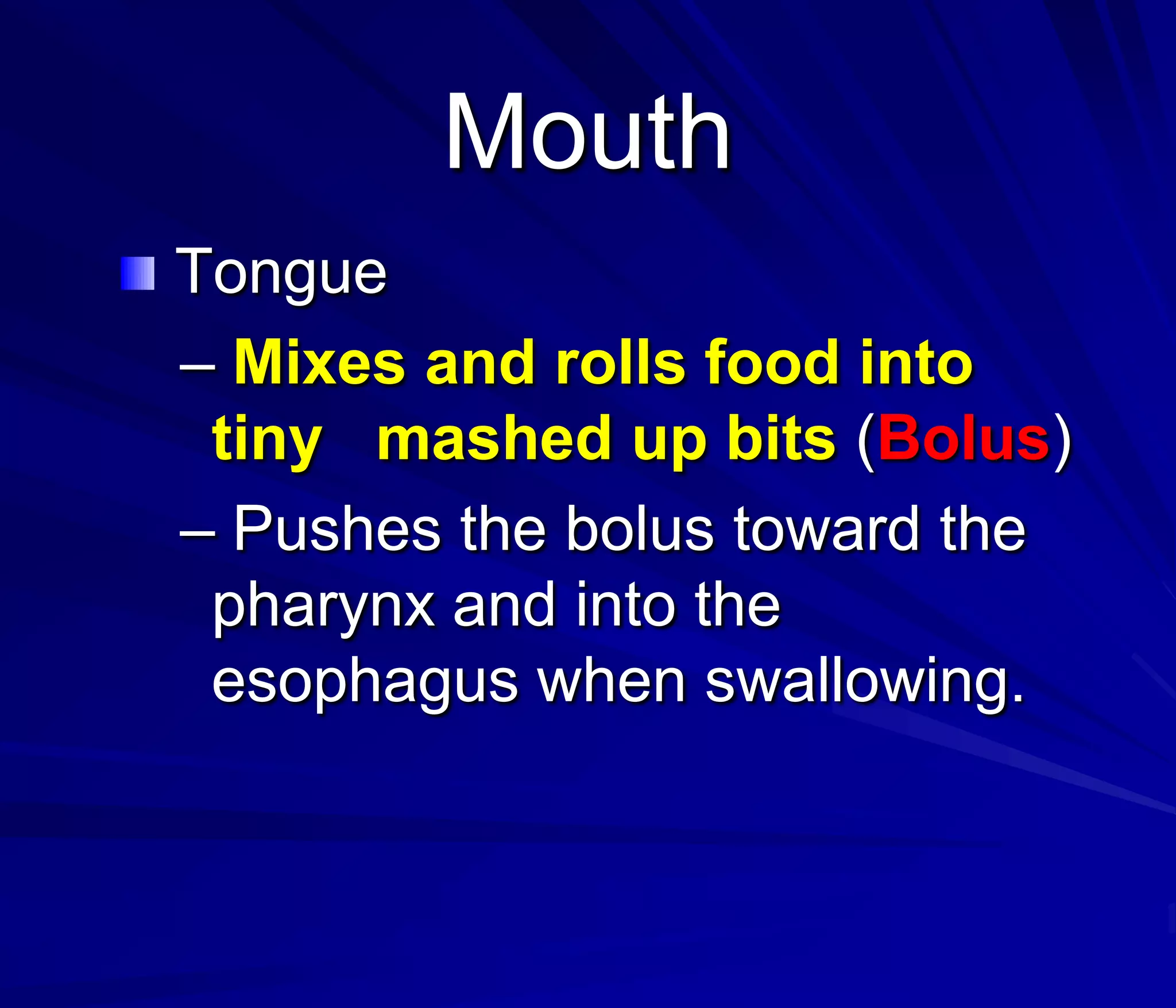 Mouth
Tongue
– Mixes and rolls food into
 tiny mashed up bits (Bolus)
– Pushes the bolus toward the
 pharynx and into the
 esophagus when swallowing.
 