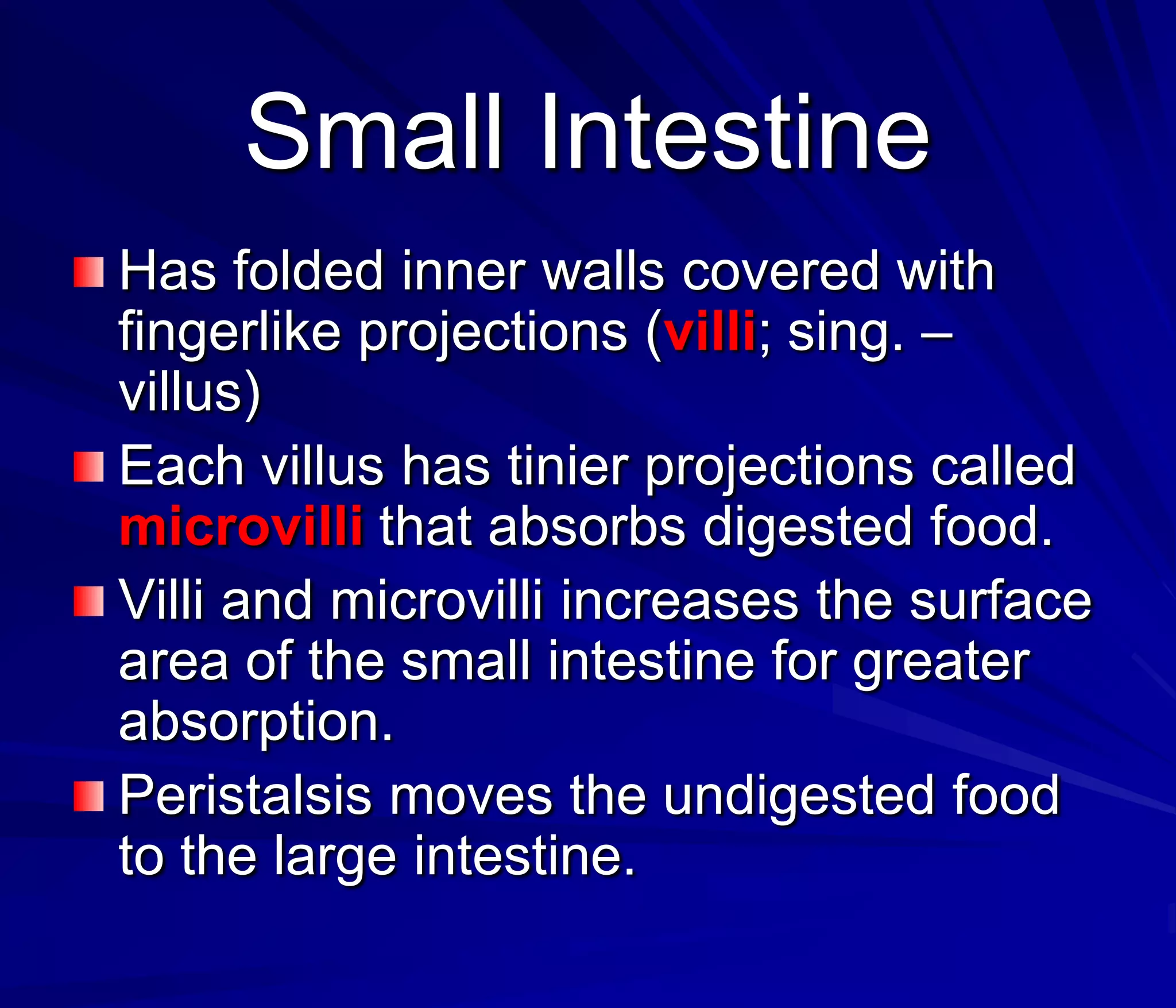 Small Intestine
Has folded inner walls covered with
fingerlike projections (villi; sing. –
villus)
Each villus has tinier projections called
microvilli that absorbs digested food.
Villi and microvilli increases the surface
area of the small intestine for greater
absorption.
Peristalsis moves the undigested food
to the large intestine.
 