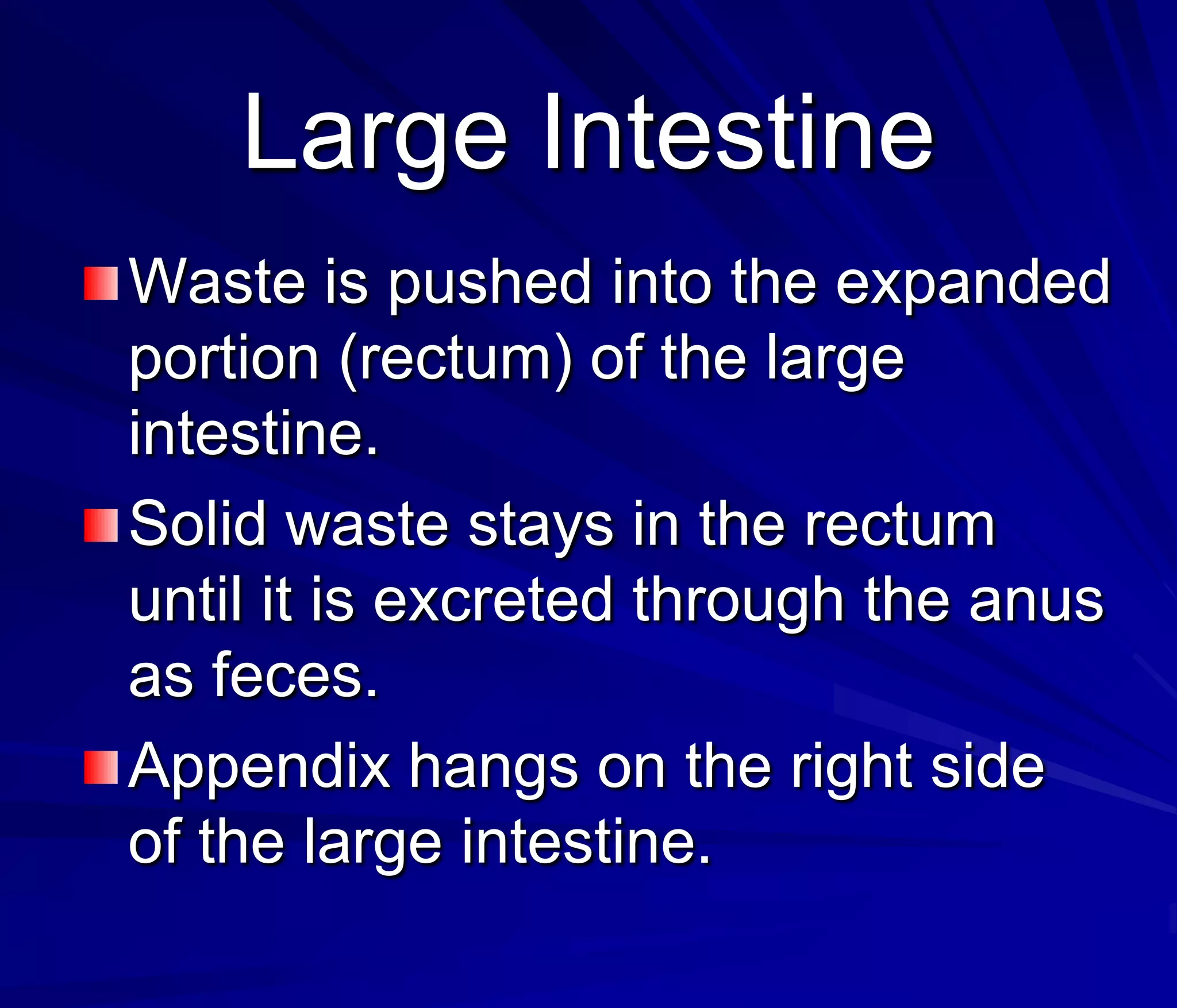 Large Intestine
Waste is pushed into the expanded
portion (rectum) of the large
intestine.
Solid waste stays in the rectum
until it is excreted through the anus
as feces.
Appendix hangs on the right side
of the large intestine.
 