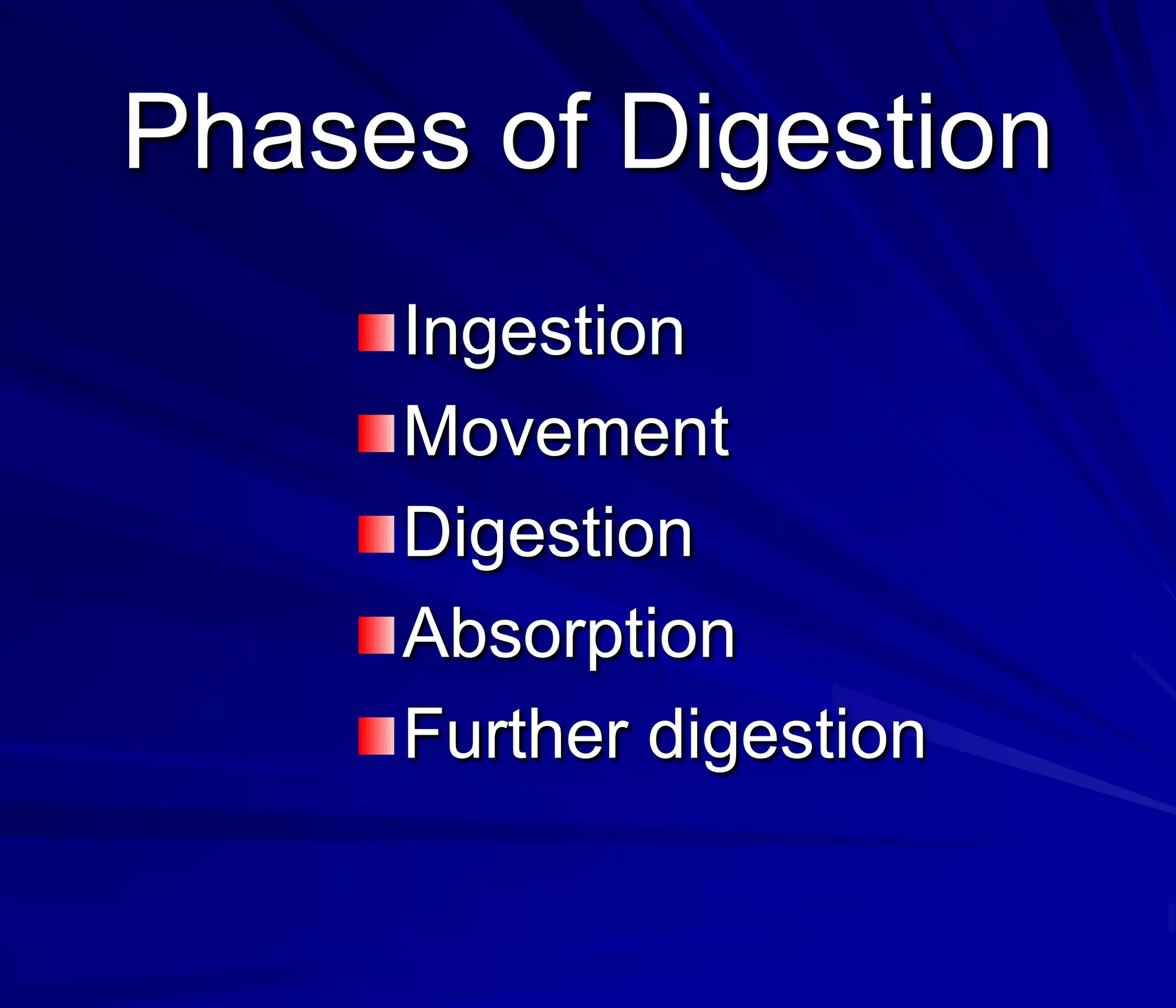 Phases of Digestion
     Ingestion
     Movement
     Digestion
     Absorption
     Further digestion
 