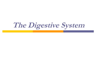 The Digestive System
 
