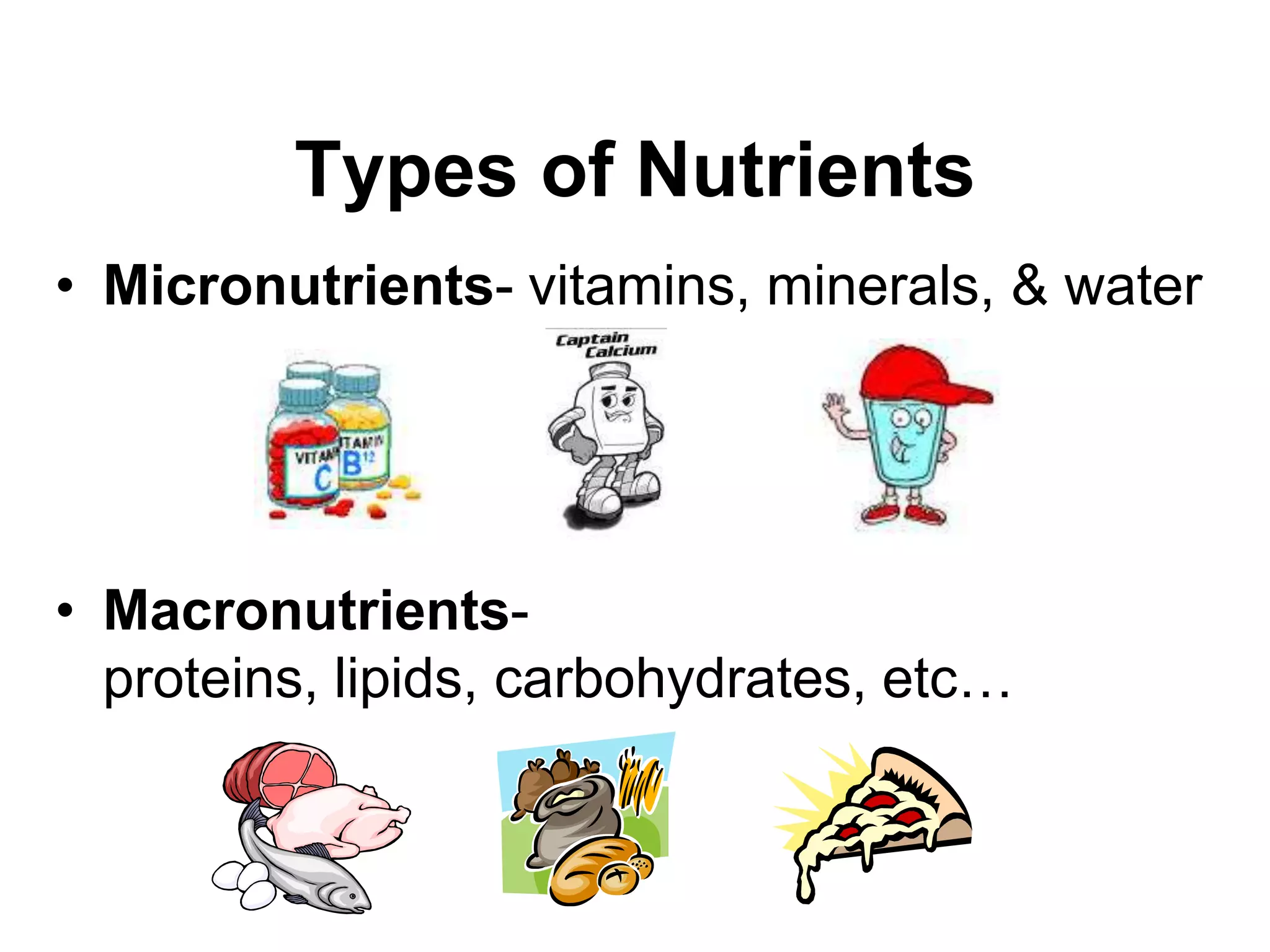 Types of Nutrients
• Micronutrients- vitamins, minerals, & water




• Macronutrients-
  proteins, lipids, carbohydrates, etc…
 