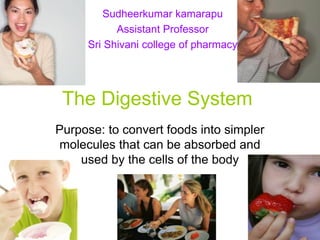 Sudheerkumar kamarapu
           Assistant Professor
     Sri Shivani college of pharmacy




 The Digestive System
Purpose: to convert foods into simpler
molecules that can be absorbed and
    used by the cells of the body
 