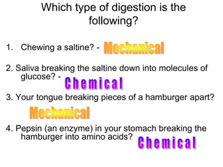 Which type of digestion is the
following?
1. Chewing a saltine? -
2. Saliva breaking the saltine down into molecules of
glucose? -
3. Your tongue breaking pieces of a hamburger apart?
4. Pepsin (an enzyme) in your stomach breaking the
hamburger into amino acids?
 