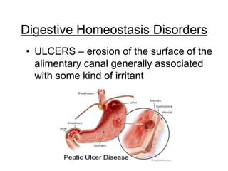 Digestive Homeostasis Disorders
• ULCERS – erosion of the surface of the
alimentary canal generally associated
with some kind of irritant
 