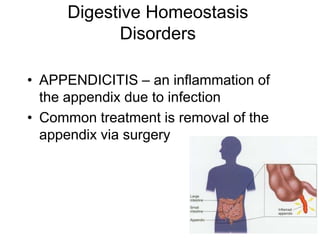 Digestive Homeostasis
Disorders
• APPENDICITIS – an inflammation of
the appendix due to infection
• Common treatment is removal of the
appendix via surgery
 