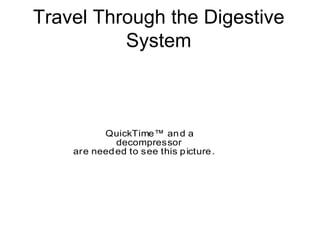 Travel Through the Digestive
System
QuickTime™ and a
decompressor
are needed to see this picture.
 