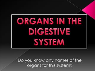 Do you know any names of the
organs for this system?

 