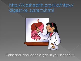 Color and label each organ in your handout.

 