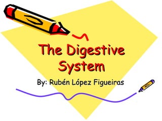 The DigestiveThe Digestive
SystemSystem
By: Rubén López FigueirasBy: Rubén López Figueiras
 
