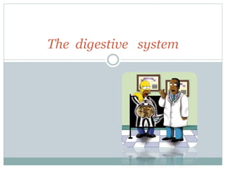 The digestive system
 
