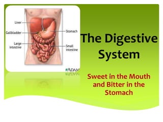 The Digestive
System
Sweet in the Mouth
and Bitter in the
Stomach
 