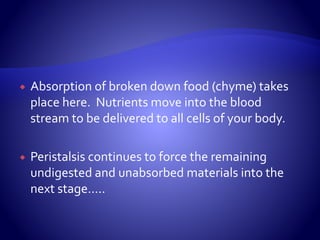  Absorption of broken down food (chyme) takes
place here. Nutrients move into the blood
stream to be delivered to all cells of your body.
 Peristalsis continues to force the remaining
undigested and unabsorbed materials into the
next stage…..
 