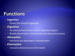  Ingestion
 Enters the mouth (ingested)
 Digestion
 As soon as food enters mouth digestion begins
 Breaks down food (mechanical and chemical process)
 Absorption
 Nutrients are absorbed in bloodstream
 Elimination
 Unused substances are eliminated
 