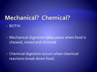  BOTH!
 Mechanical digestion takes place when food is
chewed, mixed and churned
 Chemical digestion occurs when chemical
reactions break down food.
 
